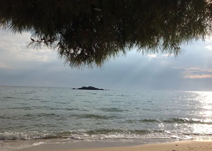 Konukevi Neaktion